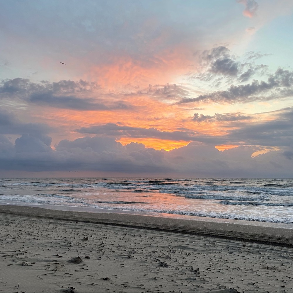 Meet your Posher, Kristin